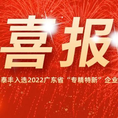 熱烈祝賀泰豐空調(diào)入選2022廣東省“專精特新”企業(yè)！